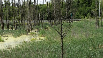 beautiful view of the park © MARIA – Nature