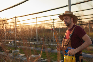 Farmer using pesticide, insecticide and herbicide sprayer sprinkler in an blueberries farm outdoors in springtime, before blooming.