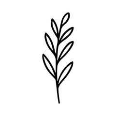 Fototapeta premium Minimalist Hand Drawn Branch with Leaves Line Art Illustration Element
