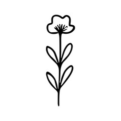 Obraz premium Minimalist Line Drawing Flower with Stem and Leaves Botanical Illustration