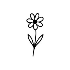 Simple Handdrawn Floral Daisy Blossom Element Decorative Design