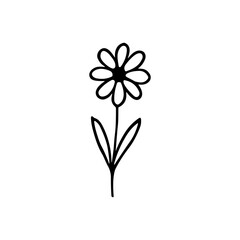 Simple Line Drawing Flower Single Isolated Illustration Botanical Black and White Element