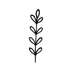 Handdrawn Minimalist Branch with Small Leaves Floral Design Element Botanical