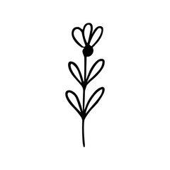 Minimalist Line Art Single Stem Flower Plant Floral Drawing Design