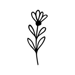 Line Art Handdrawn Simple Flower Botanical Icon Shape Illustration