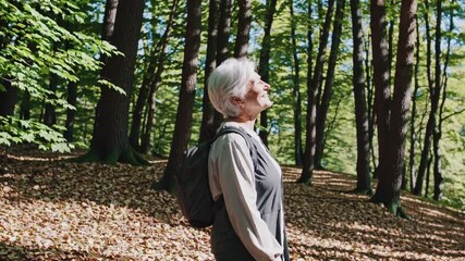 Serene Forest Walk: An elderly woman with short gray hair, wearing a backpack, stands in a sun-dappled forest, her head tilted upward, breathing in the fresh air and tranquility of nature. - Powered by Adobe