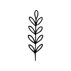 Simple Handdrawn Leaf Branch Line Art Plant Decoration Element