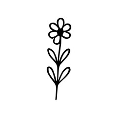 Simple Handdrawn Floral Flower Stem Leaf Single Element Illustration