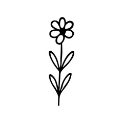 Simple Outline Handdrawn Floral Flower with Stem and Leaves Element