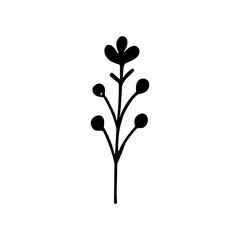 Handdrawn Elegant Floral Branch Silhouette Plant Nature Botanical Illustration