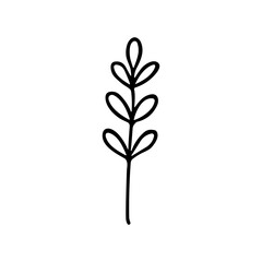 Simple Handdrawn Botanical Leafy Twig Accent Decoration Plant Element