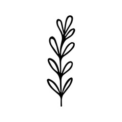 Simple Handdrawn Small Plant Branch Twig Decorative Floral Element
