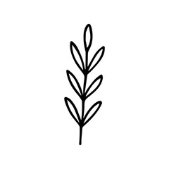 Handdrawn Minimalist Simple Leaf Branch Botanical Illustration Element
