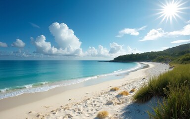Gorgeous Beach Landscape. High quality