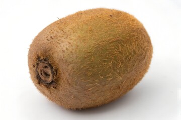 Single brown fuzzy kiwi fruit on white background