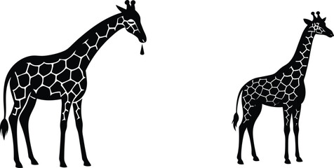 Naklejka premium Giraffe Silhouette Vector Set . Bending Neck Drinking And Standing Tall Poses Wildlife Line Art