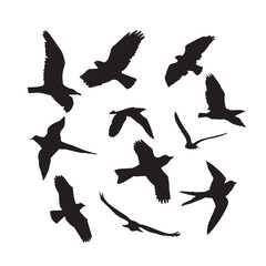 Bird Silhouette Vector Art, Icons