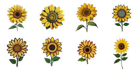 Multiple vector illustrations sunflower


