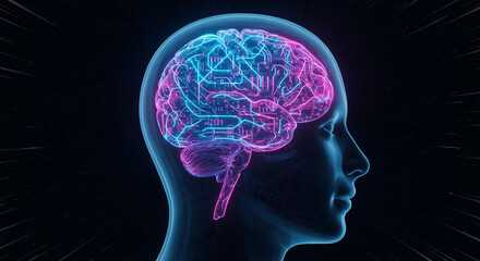 Obraz premium Glowing Digital Brain Representing Artificial Intelligence and Machine Learning. A digitally rendered brain split into symmetrical halves, one glowing orange and the other blue.
