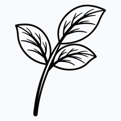 Black and white botanical leaf illustration for nature and Eco Friendly design projects