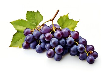 Fototapeta premium bunch of black grapes