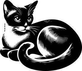 SVG file Abyssinian cat black and white vector for printing, cutting