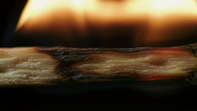 Close-Up of Match Being Struck