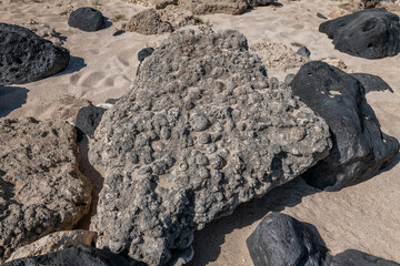 Basalt and coral reefs on the beach. Kaʻena Point Trail（North), Oahu Hawaii.	
