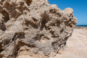 Sandstone / Beachrock, Beach deposits (Holocene) . Chiefly cream-colored and calcareous in composition, derived from comminuted coral, shells, and foraminifera.  Kaʻena Point Trail（North), Oahu Hawaii