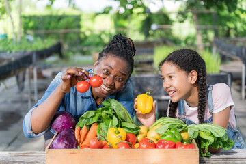 Happy black farmer mother and daughter on vegetable farm for agriculture, business growth and...