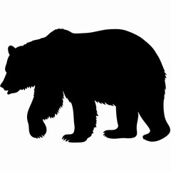 Silhouette of a Walking Bear Isolated on White Background
