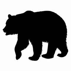 Silhouette of a Walking Bear Isolated on White Background
