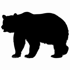 Silhouette of a Walking Bear Isolated on White Background
