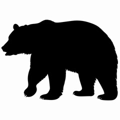 Silhouette of a Walking Bear Isolated on White Background
