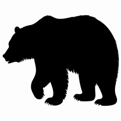 Silhouette of a Walking Bear Isolated on White Background
