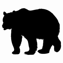 Silhouette of a Walking Bear Isolated on White Background
