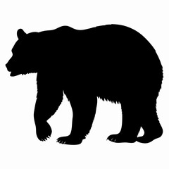 Silhouette of a Walking Bear Isolated on White Background
