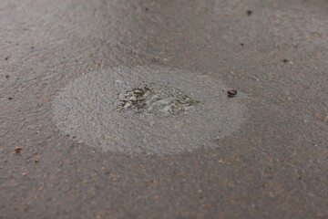 Stain of motor oil on asphalt, closeup view