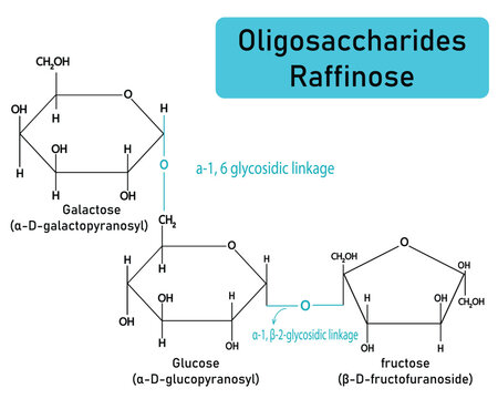 Structure of Raffinose. Oligosaccharide with Galactose, Glucose, Fructose Vector Illustration diagram