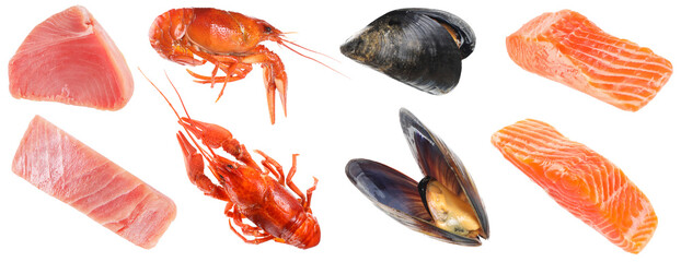 Different fresh sea food on white background, collage