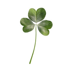 Realistic depiction of a three leaf clover on a black background for design projects