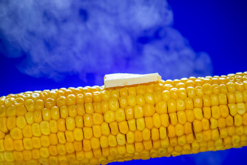 Delicious yellow corn on the cob with a melting piece of butter on top, placed against a vibrant blue background.