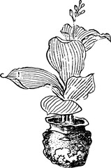 Retro trend Y2K vector illustration, creative geometric shape graphics