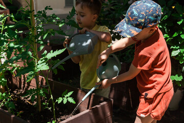 Preschool children watering garden beds in summer camp. Learning about nature and responsibility through outdoor activities
