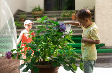 Preschool children watering garden beds in summer camp. Learning about nature and responsibility through outdoor activities