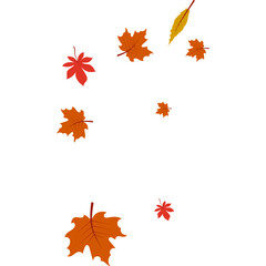 Autumn Leaves Falling