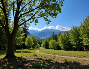 young trees grow quickly and absorb more co2, making reforestation a vital tool for carbon sequestration and climate change mitigation.