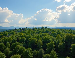 carbon captured by trees helps reduce the greenhouse effect by lowering atmospheric co2 concentrations.