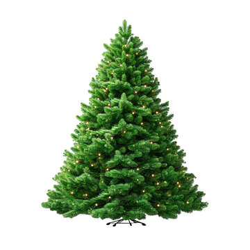 Beautifully decorated green Christmas tree with warm lights isolated on a transparent background