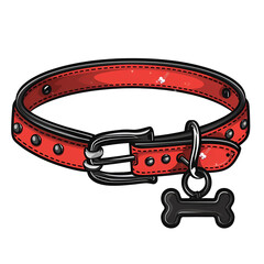 Red Dog Collar with Black Bone Tag Isolated on White Background